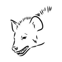 hyena vector sketch