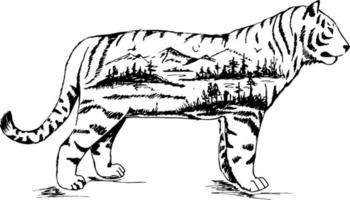 doble exposición vectorial, tigre dibujado a mano para su diseño, concepto de vida silvestre vector