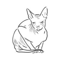 bosquejo del vector del gato esfinge