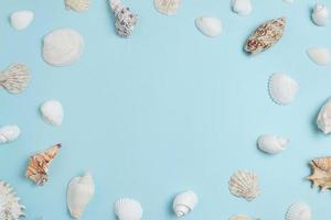 White shells on sky blue surface with copy space in the middle. Summer, top view, flat lay composition photo