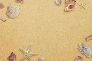 Flat lay minimal beach composition with shells on sand. Copy space in the middle. Top view photo