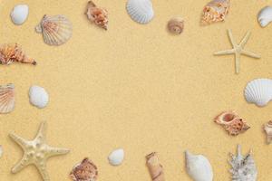 Beach composition with sea shells with copy space in the middle for promotion. Top view, flat lay photo