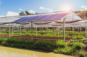 paneles solares en un campo verde agrícola. foto