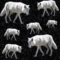 wolf seamless pattern perfect for background or wallpaper photo
