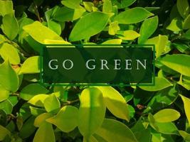 Go green text on leaves background photo