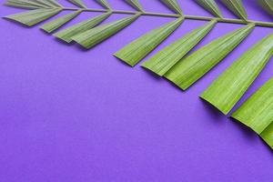 Palm leaves on purple background. Holy week and Lent season concept. photo