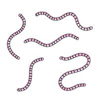 Set of earthworms. Cartoon flat illustration. vector