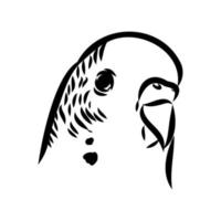 budgie vector sketch