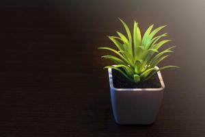 planta en maceta en un oscuro escritorio de madera. con fines de texto foto