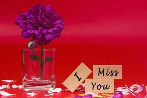 Text on wooden cube and with flower on red background - I Miss You. photo