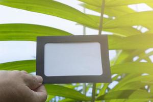 Hands holding framed paper blank with blurred background of trees photo