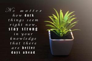 Motivational and inspirational quote on dark background with potted plant photo