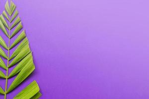 Palm leaves on purple background. Holy week and Lent season concept. photo