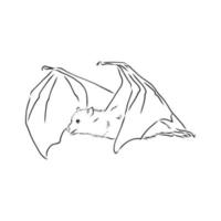 bat vector sketch