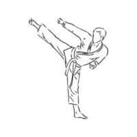 bosquejo del vector del karate