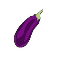 eggplant vector sketch