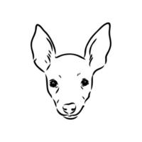 toy terrier vector sketch