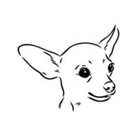 toy terrier vector sketch