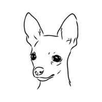 toy terrier vector sketch