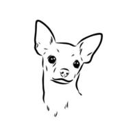 toy terrier vector sketch