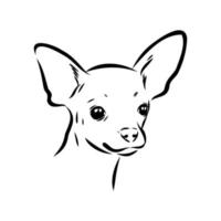 toy terrier vector sketch