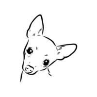 toy terrier vector sketch