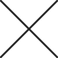Close Line Icon vector