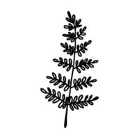 decorative branch vector sketch