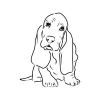 dibujo vectorial de basset hound vector