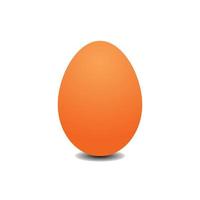 Big realistic chicken egg with shadow on white background - Vector illustration