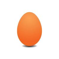 Big realistic chicken egg with shadow on white background - Vector illustration