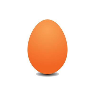 Big realistic chicken egg with shadow on white background - Vector illustration