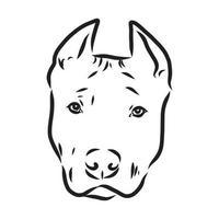 pit bull terrier vector sketch