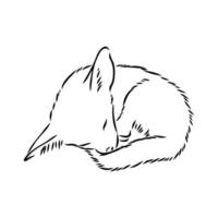 fox fenek vector sketch