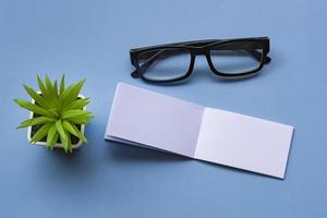 Notepad with reading glasses and potted plant. Directly above. Flat lay. photo