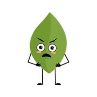 Leaf character with angry emotions, grumpy face, furious eyes, arms and legs. Person with irritated expression, green plant emoticon. Vector flat illustration