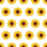 Seamless pattern with yellow sunflowers on white background. Print with element of nature, plant for decoration and design. Vector flat illustration