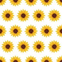 Seamless pattern with yellow sunflowers on white background. Print with element of nature, plant for decoration and design. Vector flat illustration