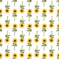 Seamless pattern with yellow sunflowers on white background. Print with element of nature, plant for decoration and design. Vector flat illustration