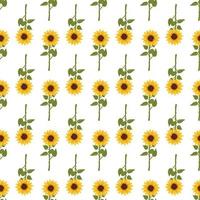 Seamless pattern with yellow sunflowers on white background. Print with element of nature, plant for decoration and design. Vector flat illustration