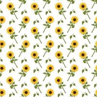 Seamless pattern with yellow sunflowers on white background. Print with element of nature, plant for decoration and design. Vector flat illustration