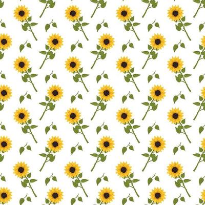 Seamless pattern with yellow sunflowers on white background. Print with element of nature, plant for decoration and design. Vector flat illustration