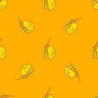 Seamless pattern engraved lemon on branch with leaves. Vintage background lime growing on twig in hand drawn style. vector