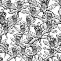 Seamless pattern flowers engraved. Vintage background of garden floral in hand drawn style. vector