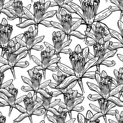 Seamless pattern flowers engraved. Vintage background of garden floral in hand drawn style.