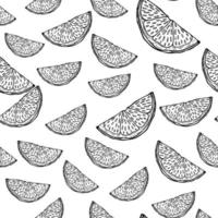 Seamless pattern engraved slice lemon. Vintage background piece lemon or lime in hand drawn style. vector