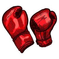 dibujo de guantes de boxeo rojos en un fondo blanco aislado. equipo deportivo antiguo para kickboxing en estilo grabado. vector
