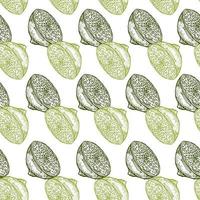 Seamless pattern lemon half engraving. Vintage background of citrus fruits in hand drawn style. vector