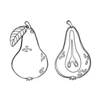 Black and white sketch of a pear, whole and half slice. Vector illustration of a pear in simple line-art style.