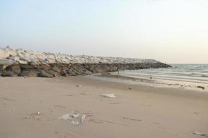 bolsas de plástico en las playas de arena son causadas por la acción humana. suciedad del mar y el peligro de la basura para los animales acuáticos